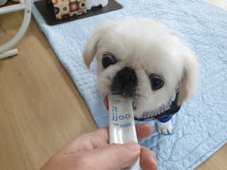 mini unni님이 올린 리뷰 사진 1