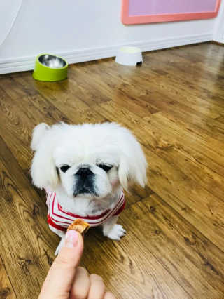 쏭님이 올린 리뷰 사진 2