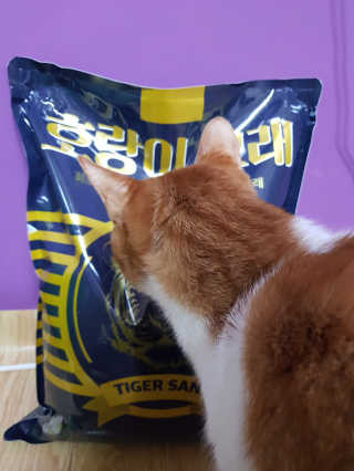 신예지님이 올린 리뷰 사진 1