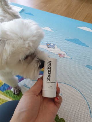 삐랭이님이 올린 리뷰 사진 4