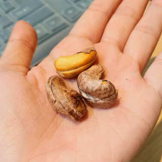 포포님이 올린 리뷰 사진 3