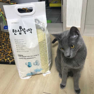 [펫토리아]한삽뚝딱 프리미엄 고양이 두부모래 — 4점을 준 리뷰어가 2019년 8월 올린 사용 사진