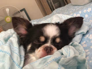 띠띠님이 올린 리뷰 사진 3