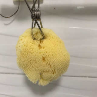 서언미님이 올린 리뷰 사진 2