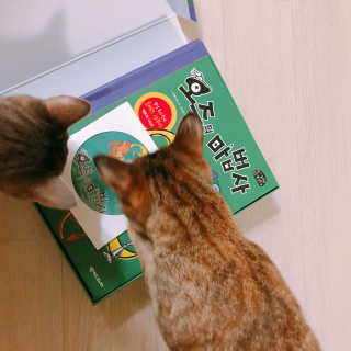 표나란님이 올린 리뷰 사진 2