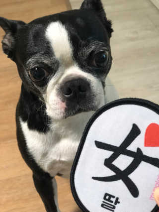 루시퍼님이 올린 리뷰 사진 2
