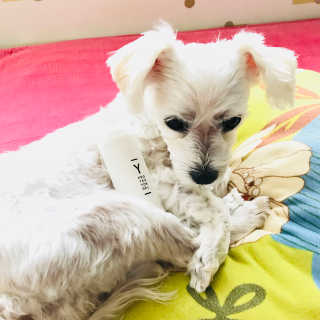 도치님이 올린 리뷰 사진 2