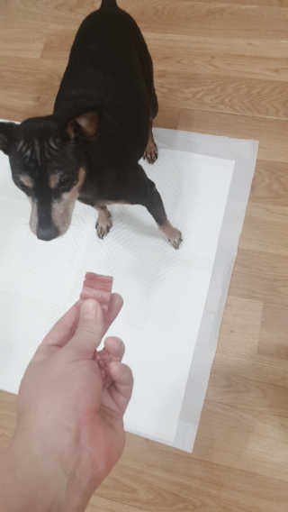 송돌핑핑파더님이 올린 리뷰 사진 2
