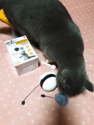 검이님이 올린 리뷰 사진 1