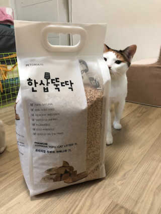 [펫토리아]한삽뚝딱 프리미엄 고양이 두부모래 — 5점을 준 리뷰어가 2019년 8월 올린 사용 사진