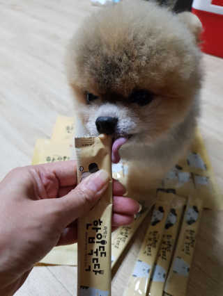 [펫토리아]짜먹는 한입뚝딱 강아지.고양이 마약간식 — 5점을 준 리뷰어가 2019년 8월 올린 사용 사진