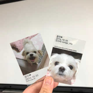 댕민님이 올린 리뷰 사진 2