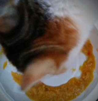 horim님이 올린 리뷰 사진 3