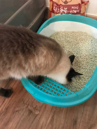 pure님이 올린 리뷰 사진 4