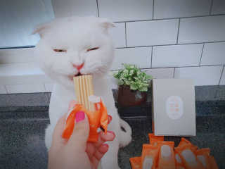 좋아님이 올린 리뷰 사진 3