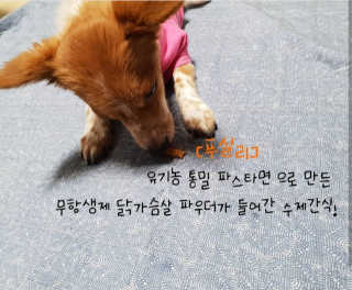 초희님이 올린 리뷰 사진 2
