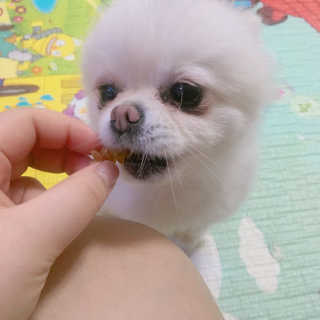 dodo님이 올린 리뷰 사진 4