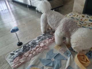 Anna님이 올린 리뷰 사진 4