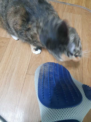 잉뎨님이 올린 리뷰 사진 2