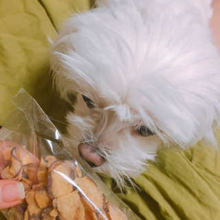 정소담님이 올린 리뷰 사진 3