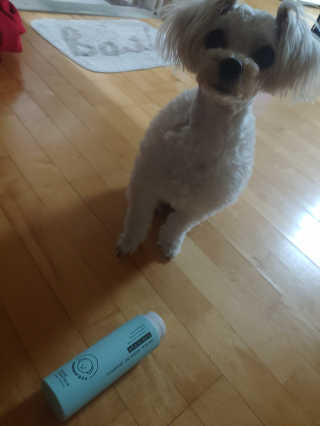 이주현님이 올린 리뷰 사진 3