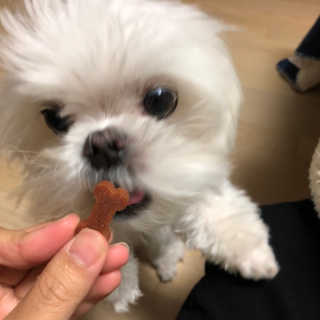 율리킴님이 올린 리뷰 사진 4