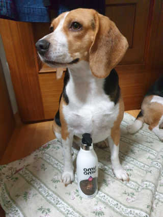 beaglelove님이 올린 리뷰 사진 1