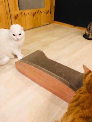 뚱이마미님이 올린 리뷰 사진 3