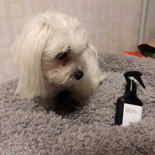 설기넹님이 올린 리뷰 사진 2