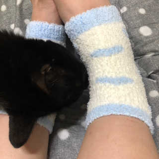 늘봄냥님이 올린 리뷰 사진 3