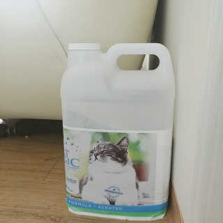단비님이 올린 리뷰 사진 1