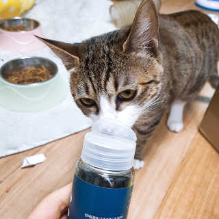 시나마나애영님이 올린 리뷰 사진 1