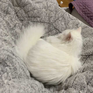 례진님이 올린 리뷰 사진 3