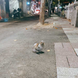 뚜뚜님이 올린 리뷰 사진 3
