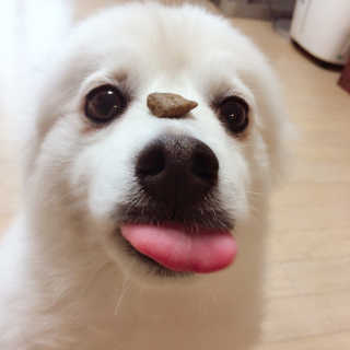 누리님이 올린 리뷰 사진 2