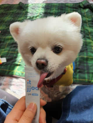 겸둥이연우맘님이 올린 리뷰 사진 4