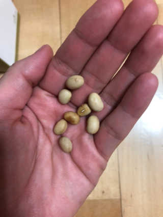 김럭키님이 올린 리뷰 사진 1