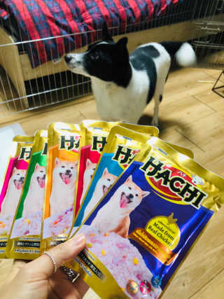 [펫토리아] 토로토로 하치  강아지 파우치간식 — 5점을 준 리뷰어가 2019년 6월 올린 사용 사진
