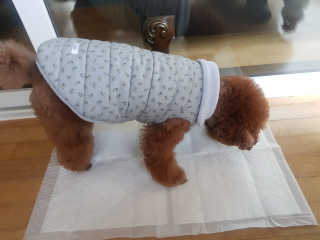 쪼꼬짱님이 올린 리뷰 사진 2