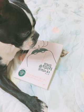 정다운님이 올린 리뷰 사진 1
