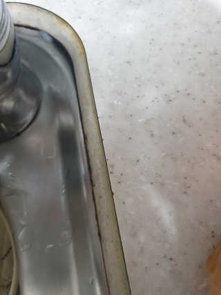똥글똥글님이 올린 리뷰 사진 3