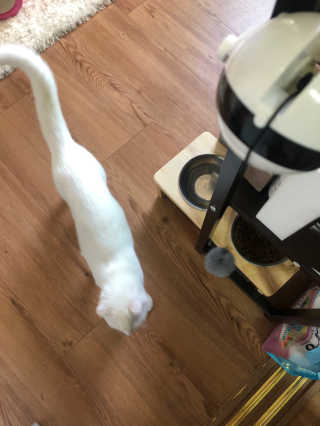 kittyiris님이 올린 리뷰 사진 3