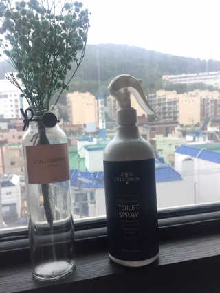 셀로몬 토일렛 스프레이 500ml — 4.83점을 준 리뷰어가 2018년 5월 올린 사용 사진