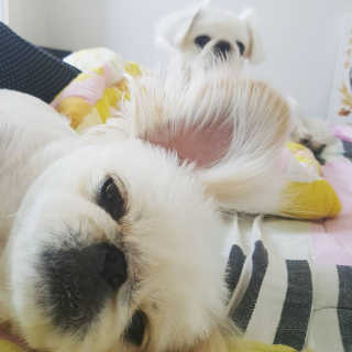 꽃당님이 올린 리뷰 사진 2
