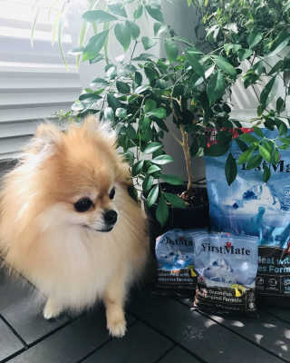 재이맘님이 올린 리뷰 사진 2