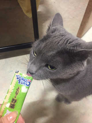 풀희띠님이 올린 리뷰 사진 3