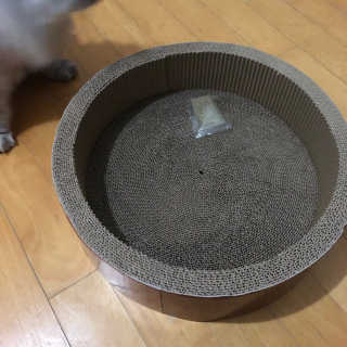 미미님이 올린 리뷰 사진 4