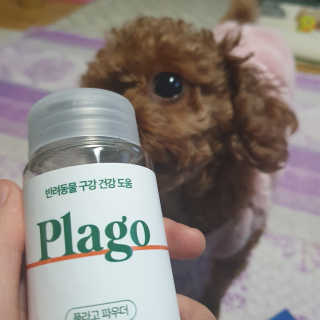 나야나님이 올린 리뷰 사진 2