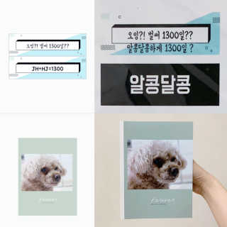 달찌님이 올린 리뷰 사진 1