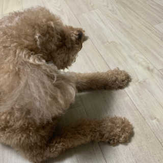 0.8L 공팔데이 0원하라 [퀴즈 이벤트] — 1점을 준 리뷰어가 2019년 7월 올린 사용 사진